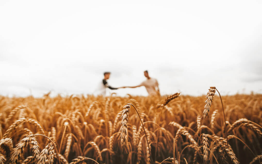 Grain Storage: Managing grain quality with silos