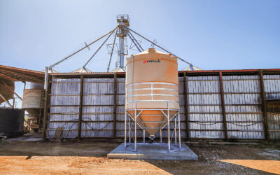 The Role of Cone Bottomed Tanks in Modern Feedlots: Enhancing Efficiency and Livestock Health